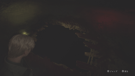 穴に飛び降りる