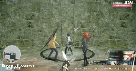 盾珊瑚の槍画像