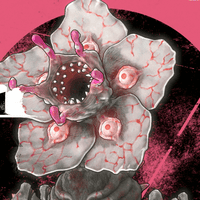 オストフロ画像