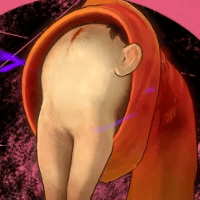 ホモ・ペント画像