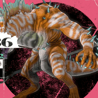 カプサード・サンドロ画像