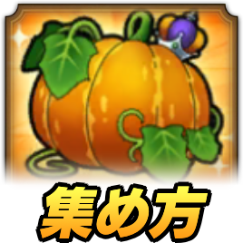 カボチャの集め方