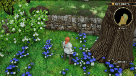 アバロンの場所の見た目