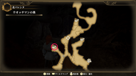 ウォッチマンの巣のマップ