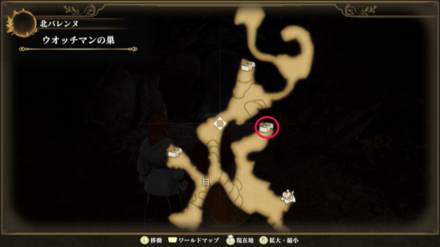 ウォッチマンの巣のマップ