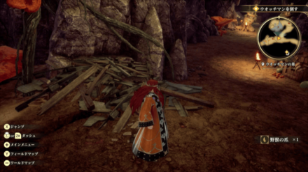 ウォッチマンの巣の場所の見た目