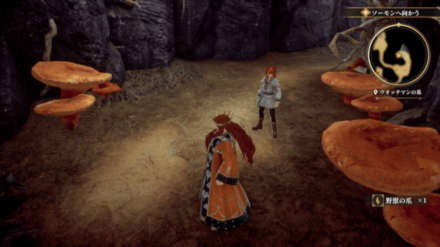 ウォッチマンの巣の場所の見た目