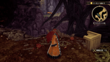 ウォッチマンの巣の場所の見た目