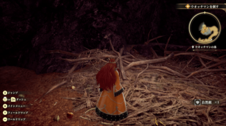 ウォッチマンの巣の場所の見た目