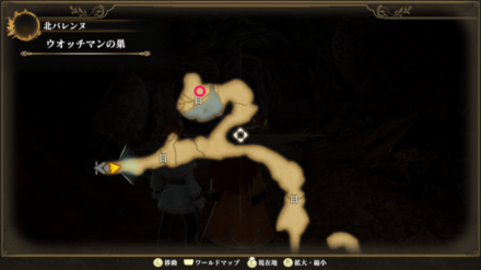 ウォッチマンの巣のマップ