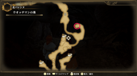 ウォッチマンの巣のマップ