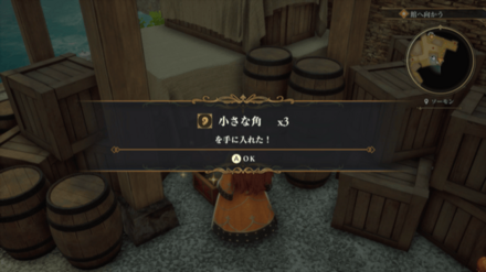 ソーモンの場所の見た目