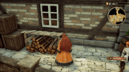 ソーモンの場所の見た目