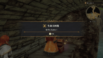 ソーモンの場所の見た目