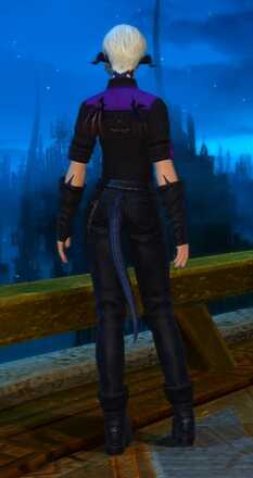 ナイトデビル後ろ