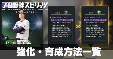 選手強化・育成方法一覧