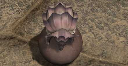 アルマジロ・ボーラー