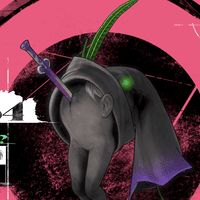 ホモ・マルヘラ画像