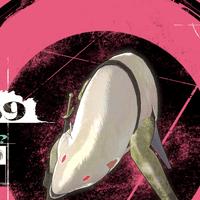 ホモ・ルーマ画像