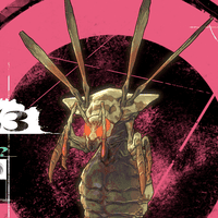 レギノヴェスプ画像