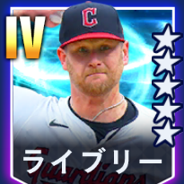 ライブリー画像