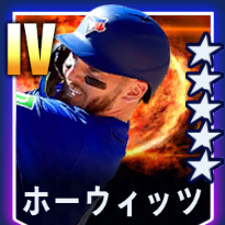 ホーウィッツ画像