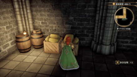 アバロン下水道の場所の見た目