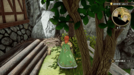 ニーベルの場所の見た目