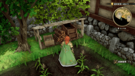 ニーベルの場所の見た目