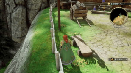 ニーベルの場所の見た目