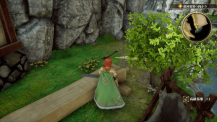 ニーベルの場所の見た目