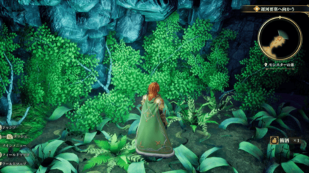 モンスターの巣の場所の見た目