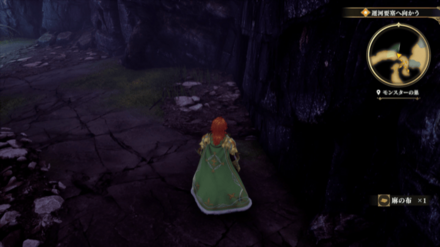 モンスターの巣の場所の見た目