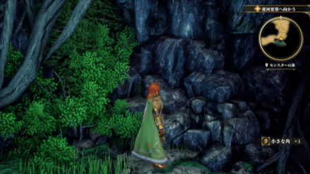 モンスターの巣の場所の見た目