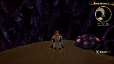 モンスターの巣の場所の見た目