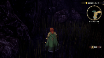 モンスターの巣の場所の見た目