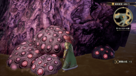 モンスターの巣の場所の見た目