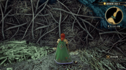 モンスターの巣の場所の見た目