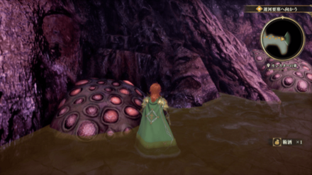 モンスターの巣の場所の見た目