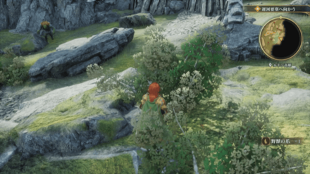 ルドン高原の場所の見た目