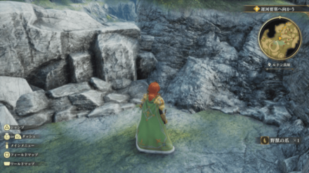 ルドン高原の場所の見た目