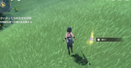 光る地面を調べる