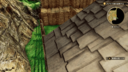 ダグラスの場所の見た目