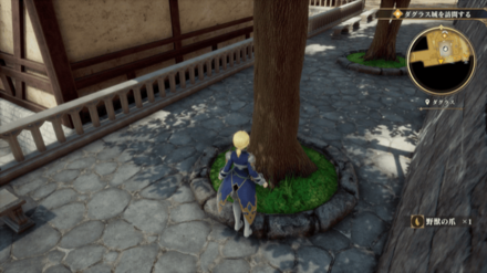 ダグラスの場所の見た目