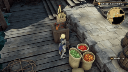 ヌオノの場所の見た目