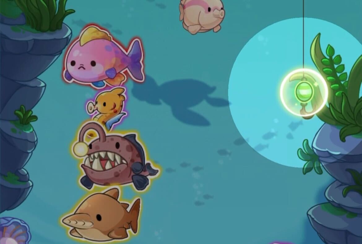 光っている魚が高品質の目印