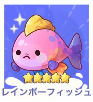レインボーフィッシュ