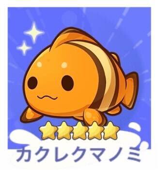 カクレクマノミ