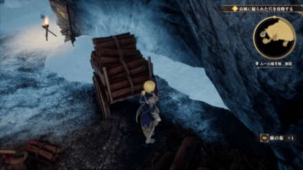 ムーの越冬地の場所の見た目