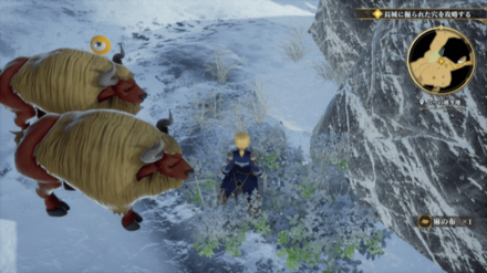 ムーの越冬地の場所の見た目